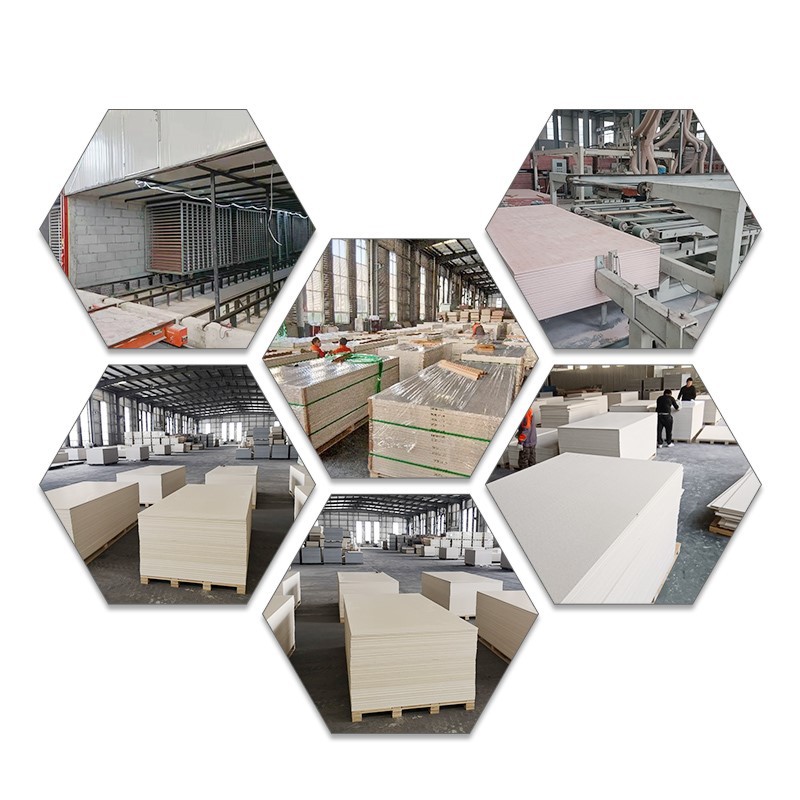 product-800-800 product-800-800